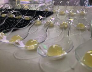 cocteleria molecular